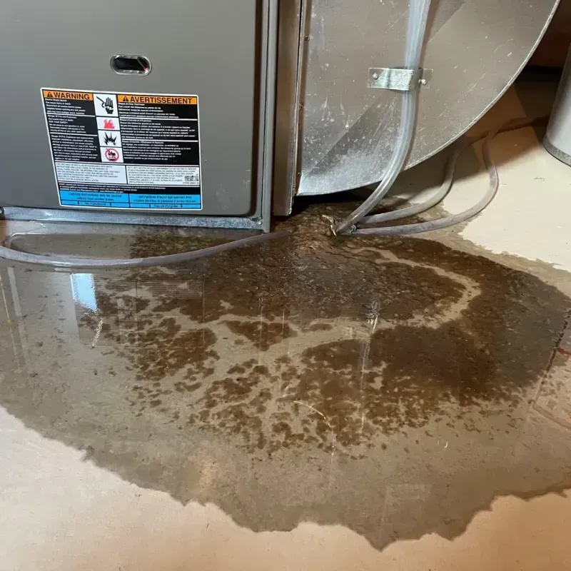 Appliance Leak Cleanup in Scott, LA